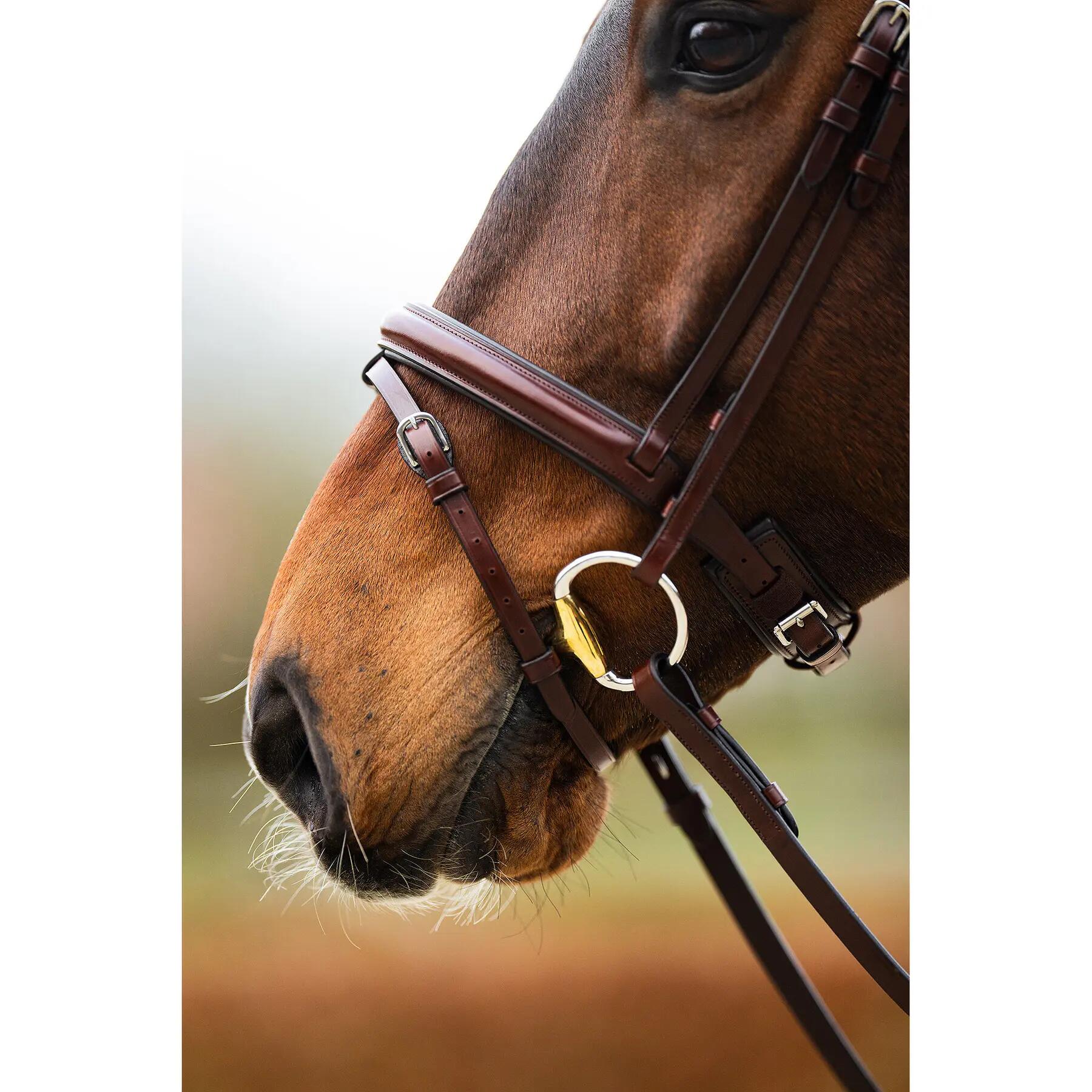 Anatomisch ruiterbit BR Equitation Shildon 6/7