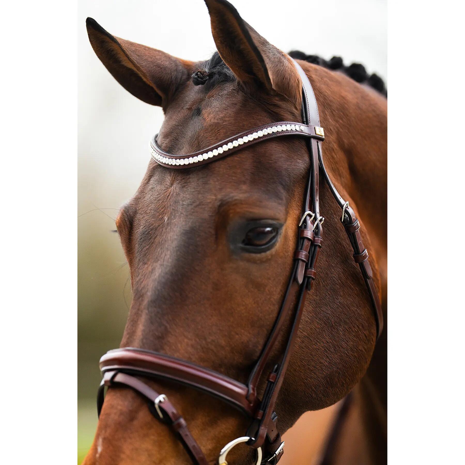 Anatomisch ruiterbit BR Equitation Shildon 5/7