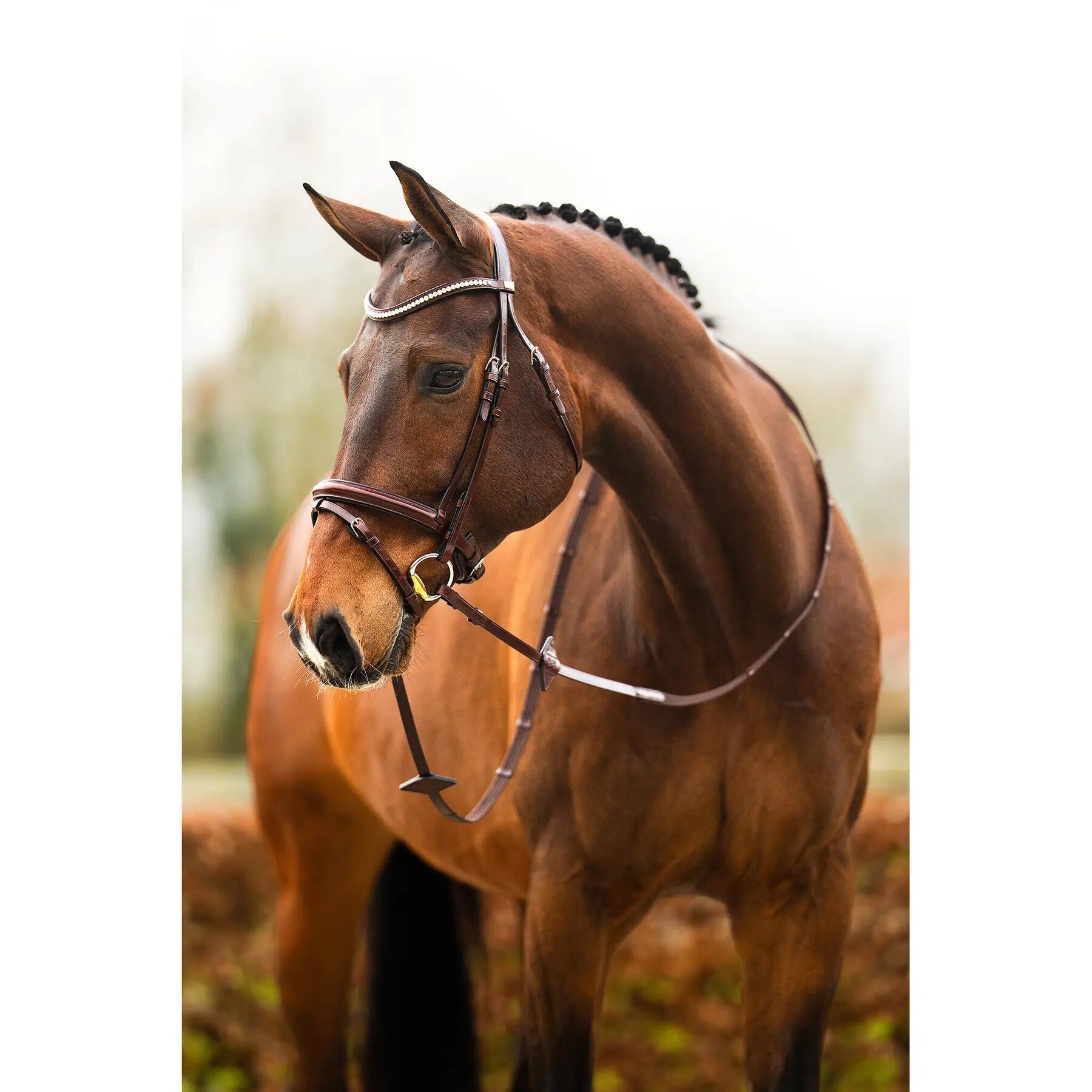 Anatomisch ruiterbit BR Equitation Shildon 4/7