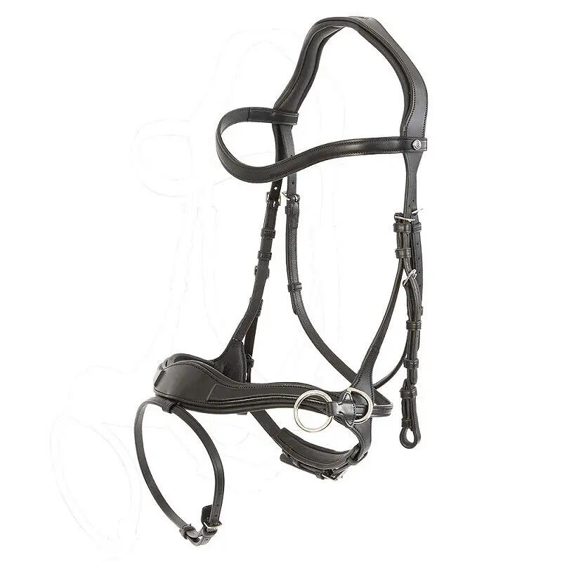 Anatomical riding bridle Trust Falsterbo T-Motion