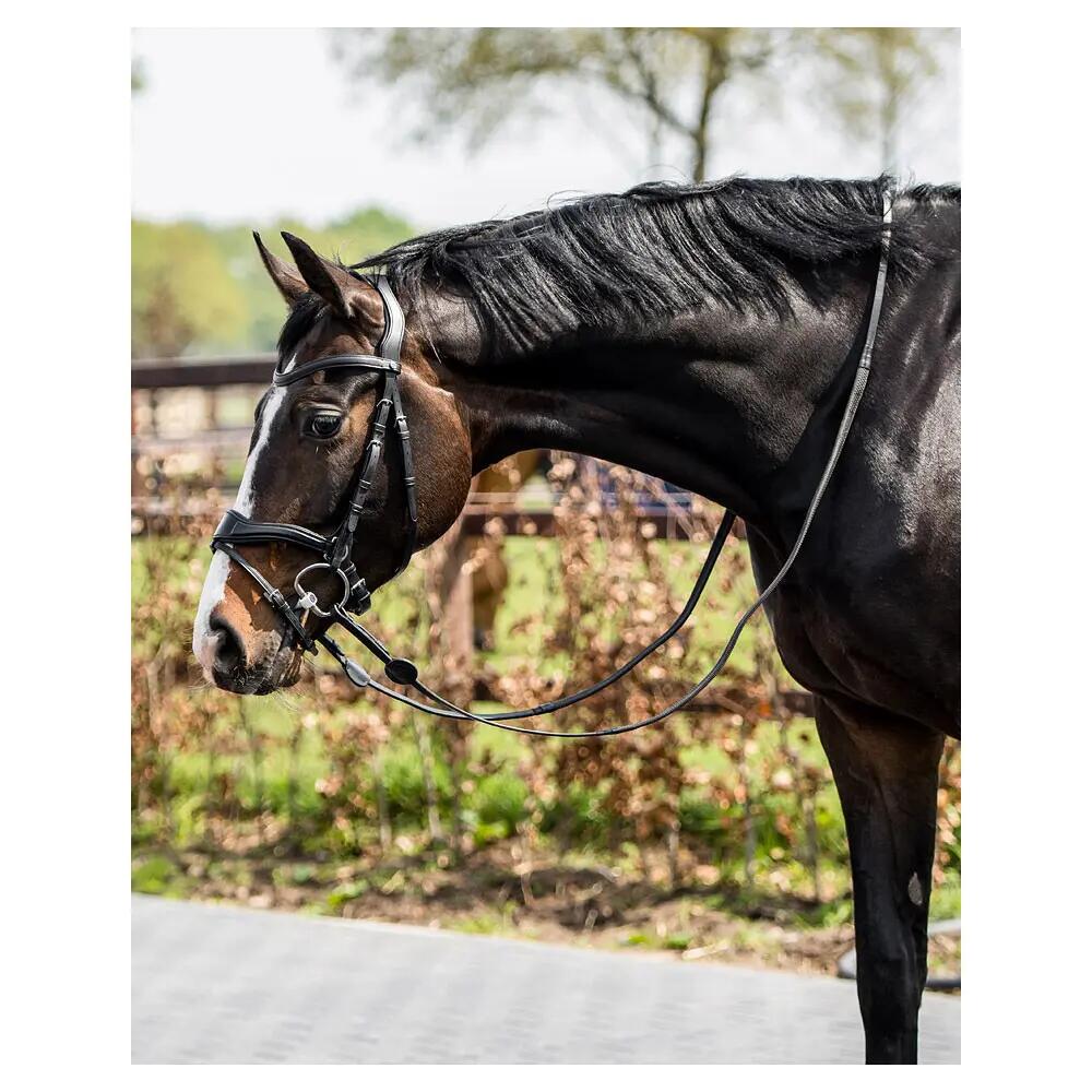 Bridon d'équitation anatomique Trust Falsterbo T-Motion 2/3