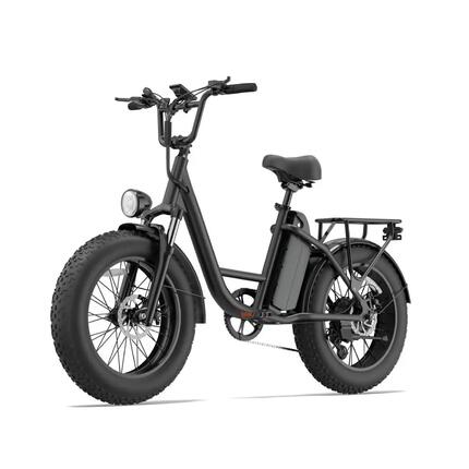 Bicyclette électrique pour adultes URLIFE E20 PRO Batterie 48V 15.6AH