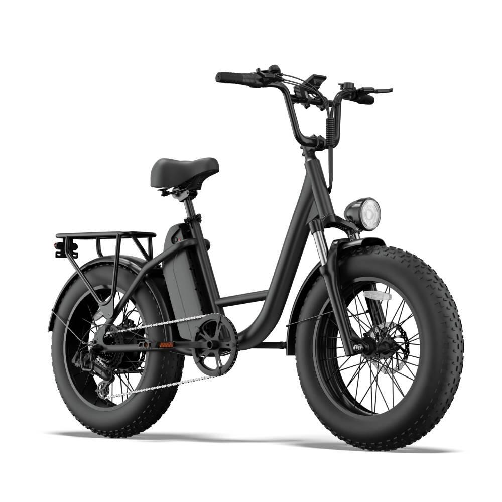 Elektrische fiets voor volwassenen URLIFE E20 PRO batterij 48V 15.6AH 2/15
