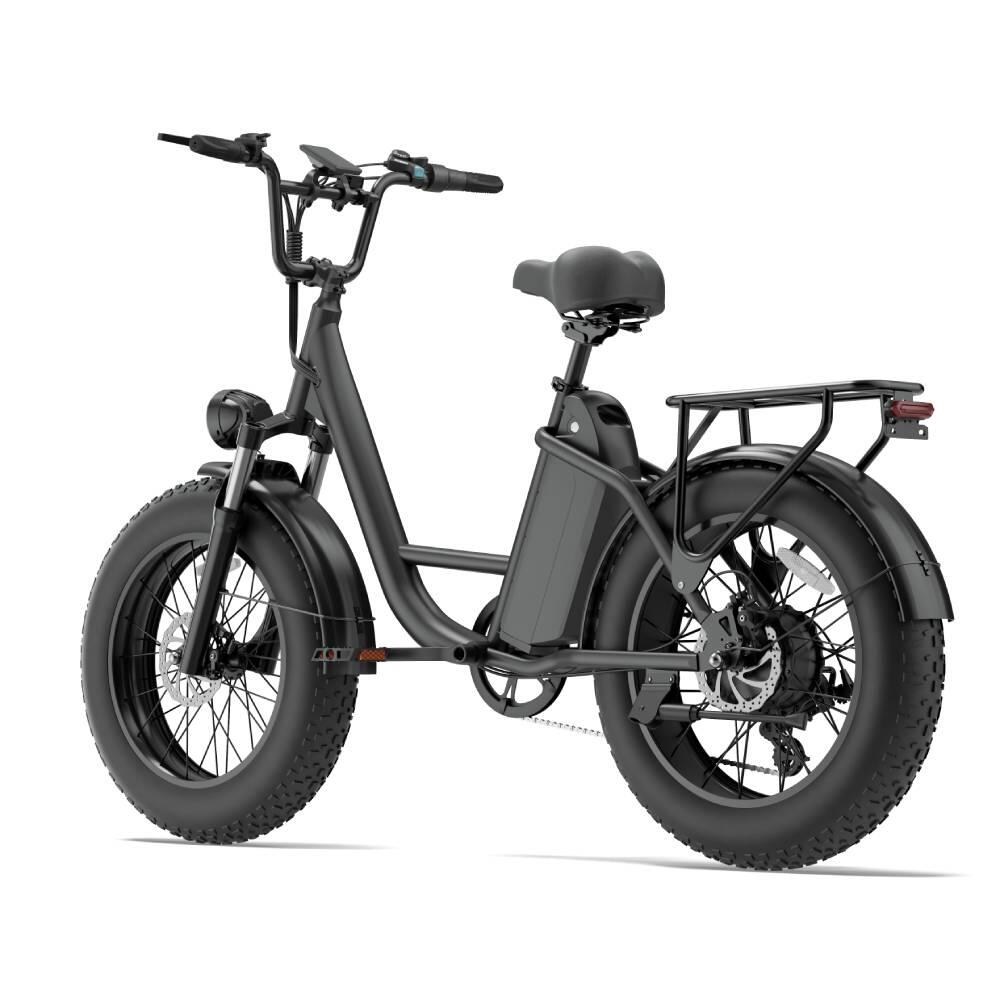 Elektrische fiets voor volwassenen URLIFE E20 PRO batterij 48V 15.6AH 5/15