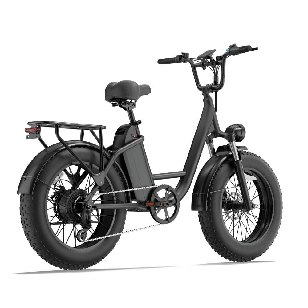 Elektrische fiets voor volwassenen URLIFE E20 PRO batterij 48V 15.6AH 6/15