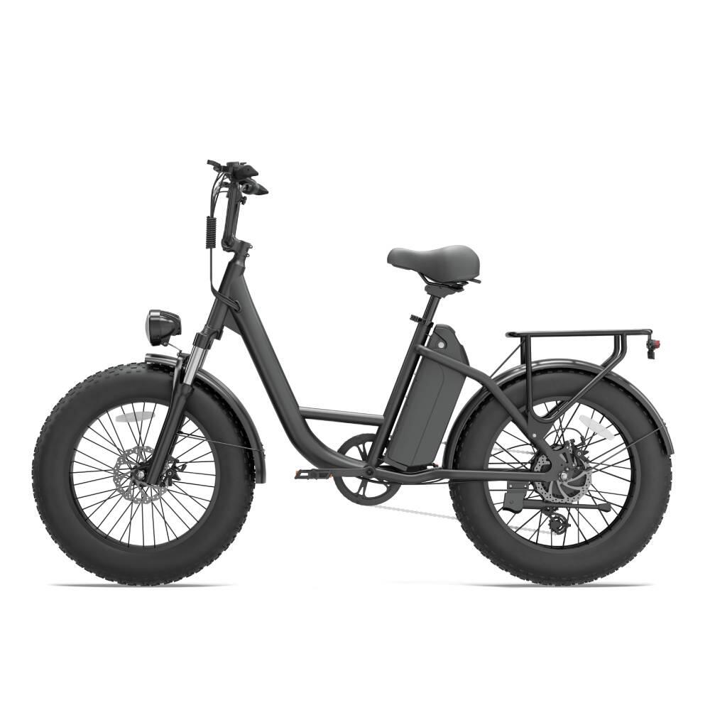 Elektrische fiets voor volwassenen URLIFE E20 PRO batterij 48V 15.6AH 3/15