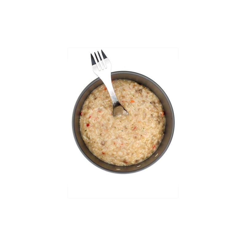 Mâncare liofilizată beef stroganoff