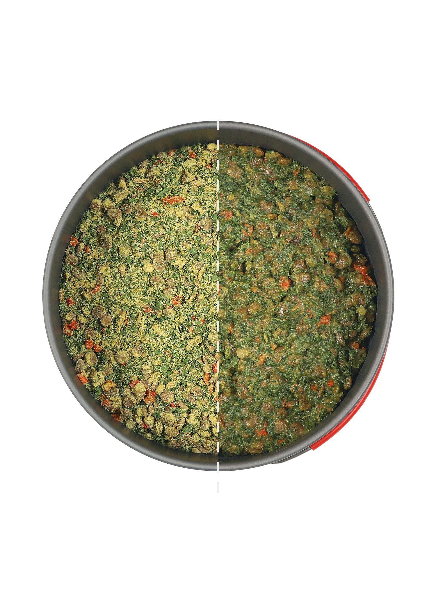 Repas lyophilisé Curry dhal lentilles et épinards Vegan 125g 2/6