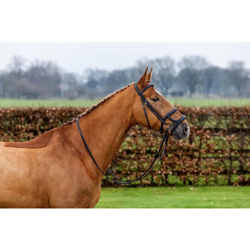 Muserolle cheval double Trust 3/3