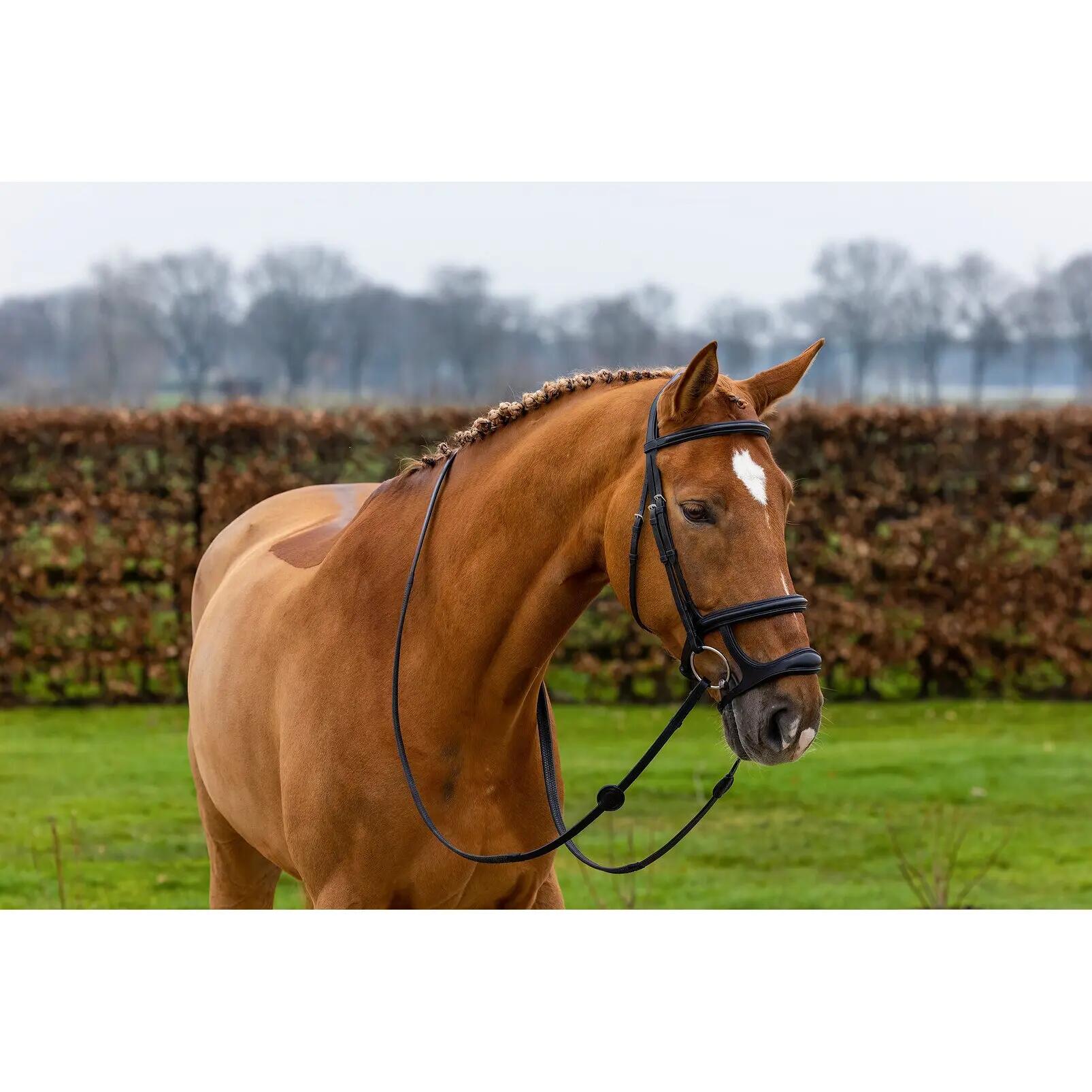 Muserolle cheval double Trust 2/3