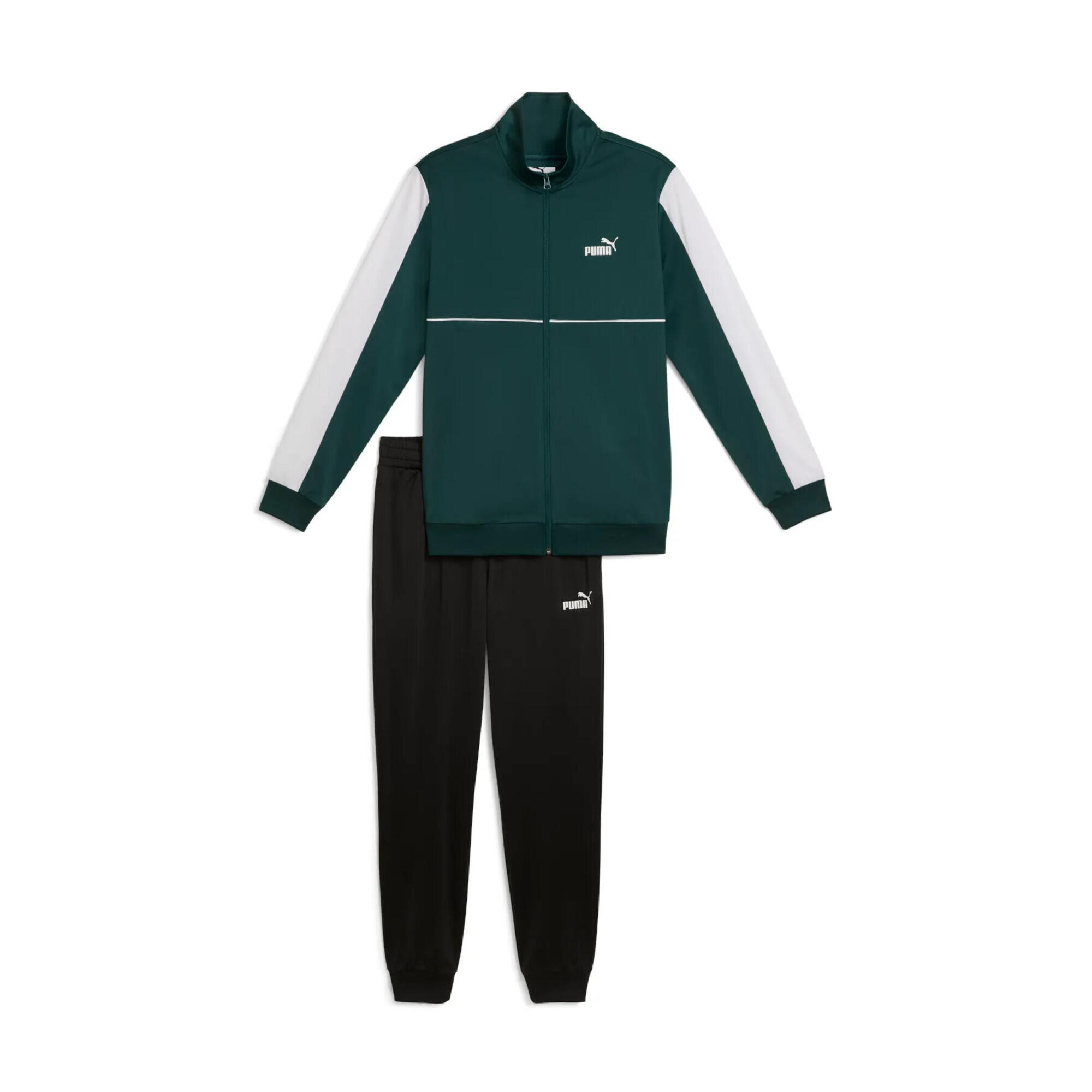 PUMA picture