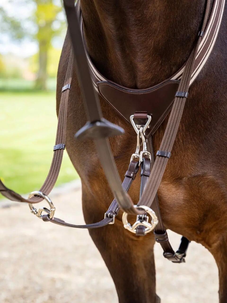 Lemieux Arika Elastic Breastplate Havana/zilver - 7/7