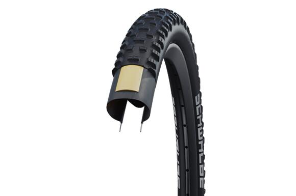 SCHWALBE picture