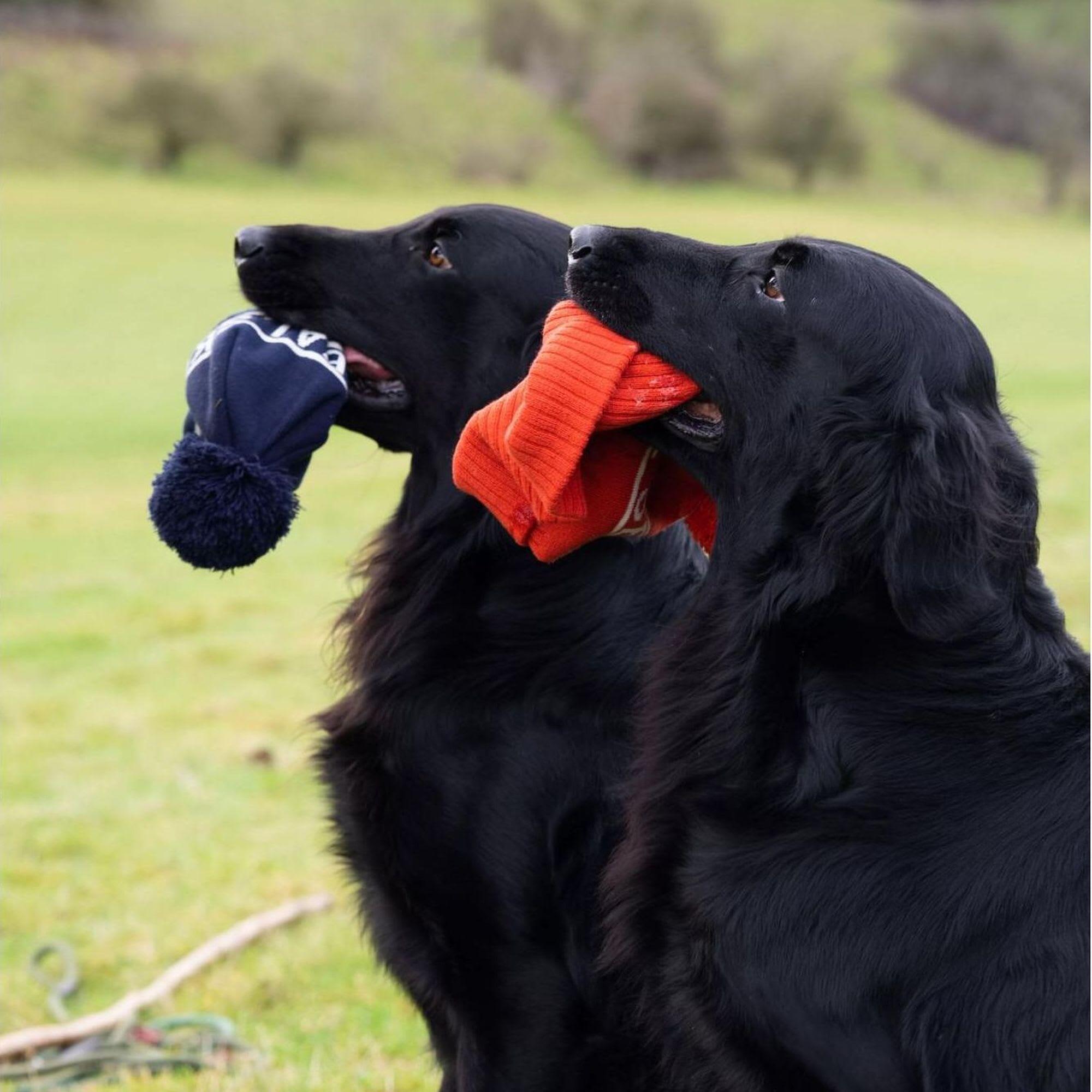 Chapeau à pompon unisexe imperméable pour temps froid 4/5