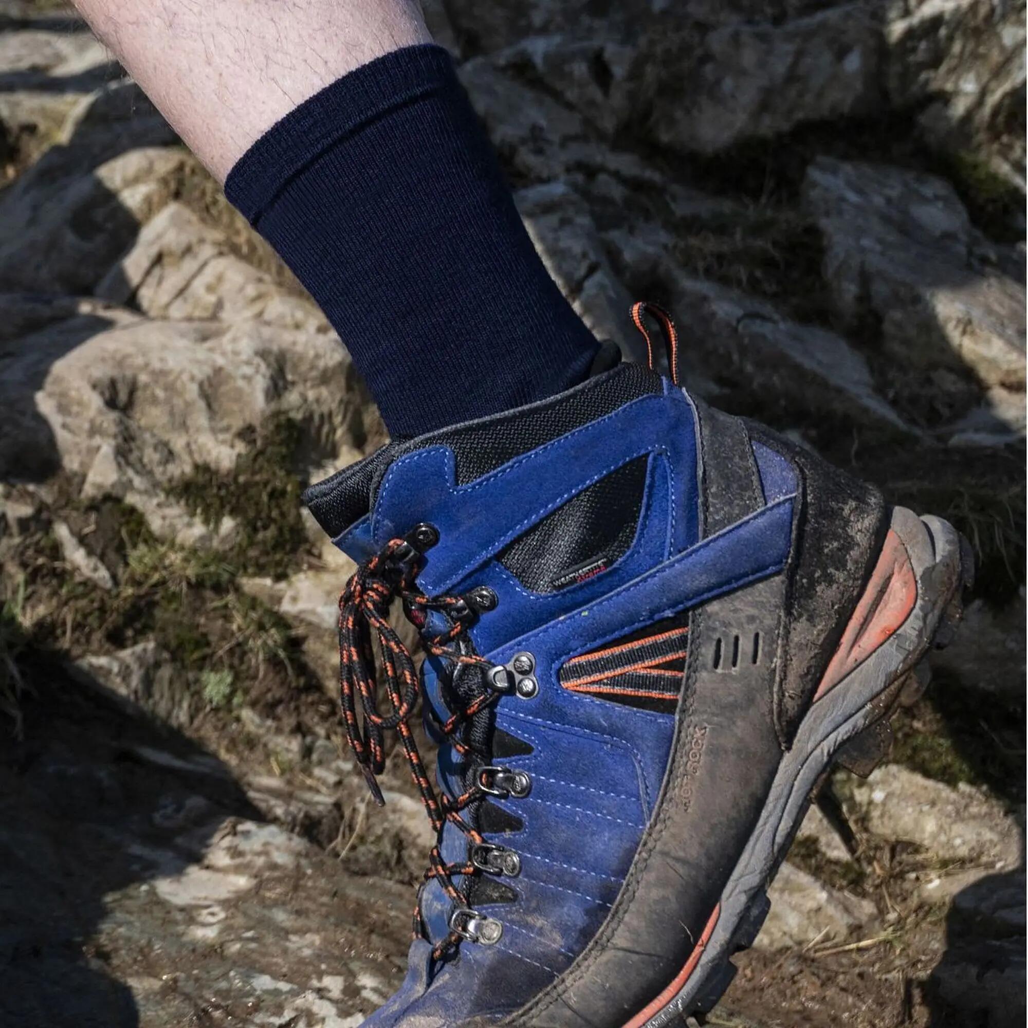 Hombres Merino Térmico Calcetines interiores de Bridgedale 2 Pares 4/7