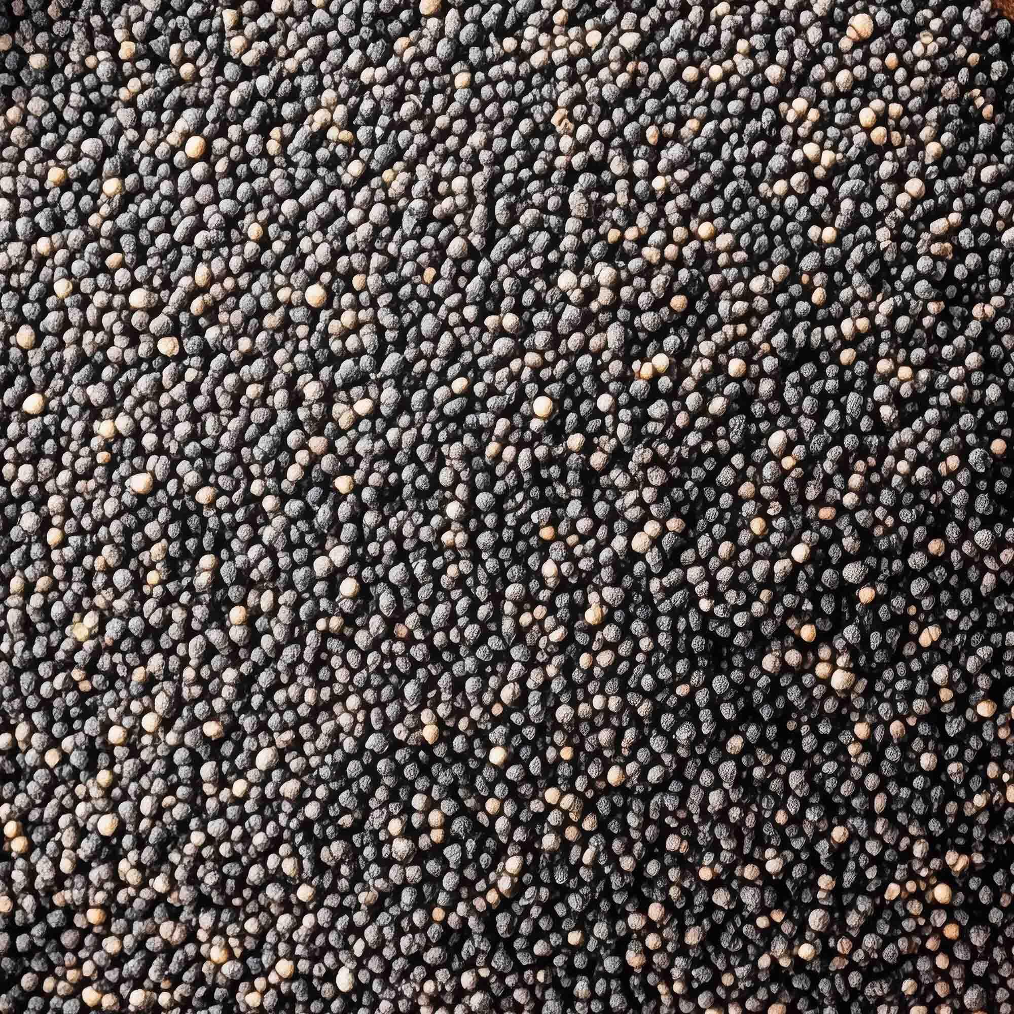 Semi di chia biologici - colazione - fonte di fibre - 150 g 2/3