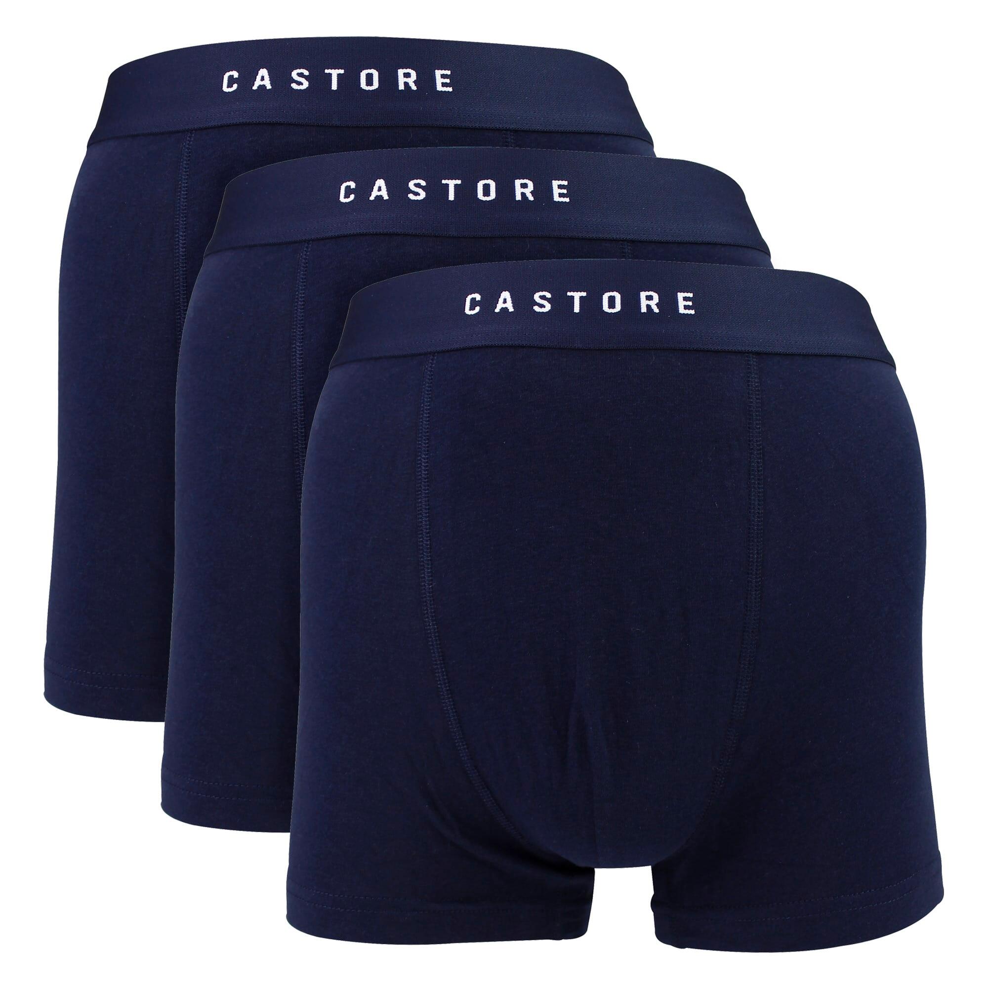 CASTORE picture