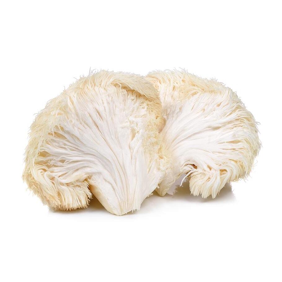 Polvere biologica Lion's Mane - integratore alimentare - 100 g 2/4