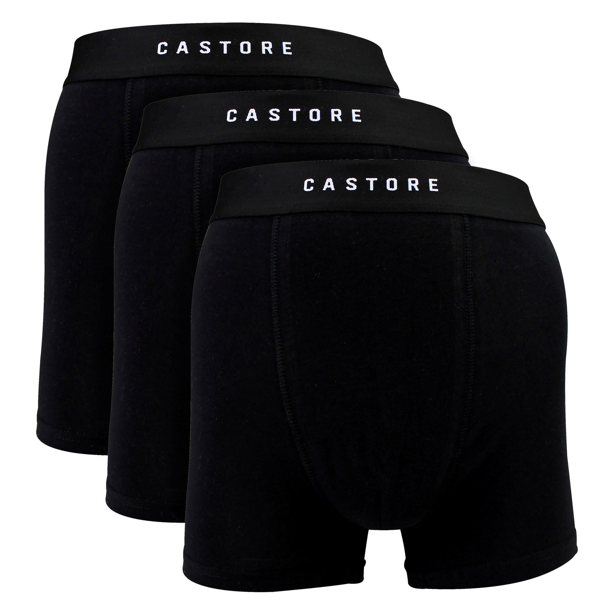 CASTORE picture