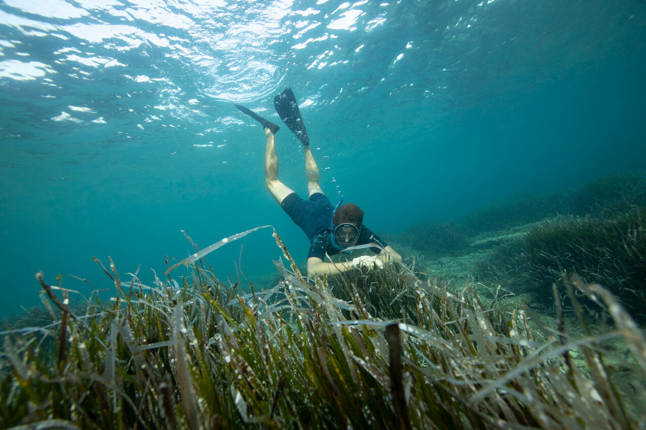 ATOLL shorty-ZD seaweed Uomo 7/7
