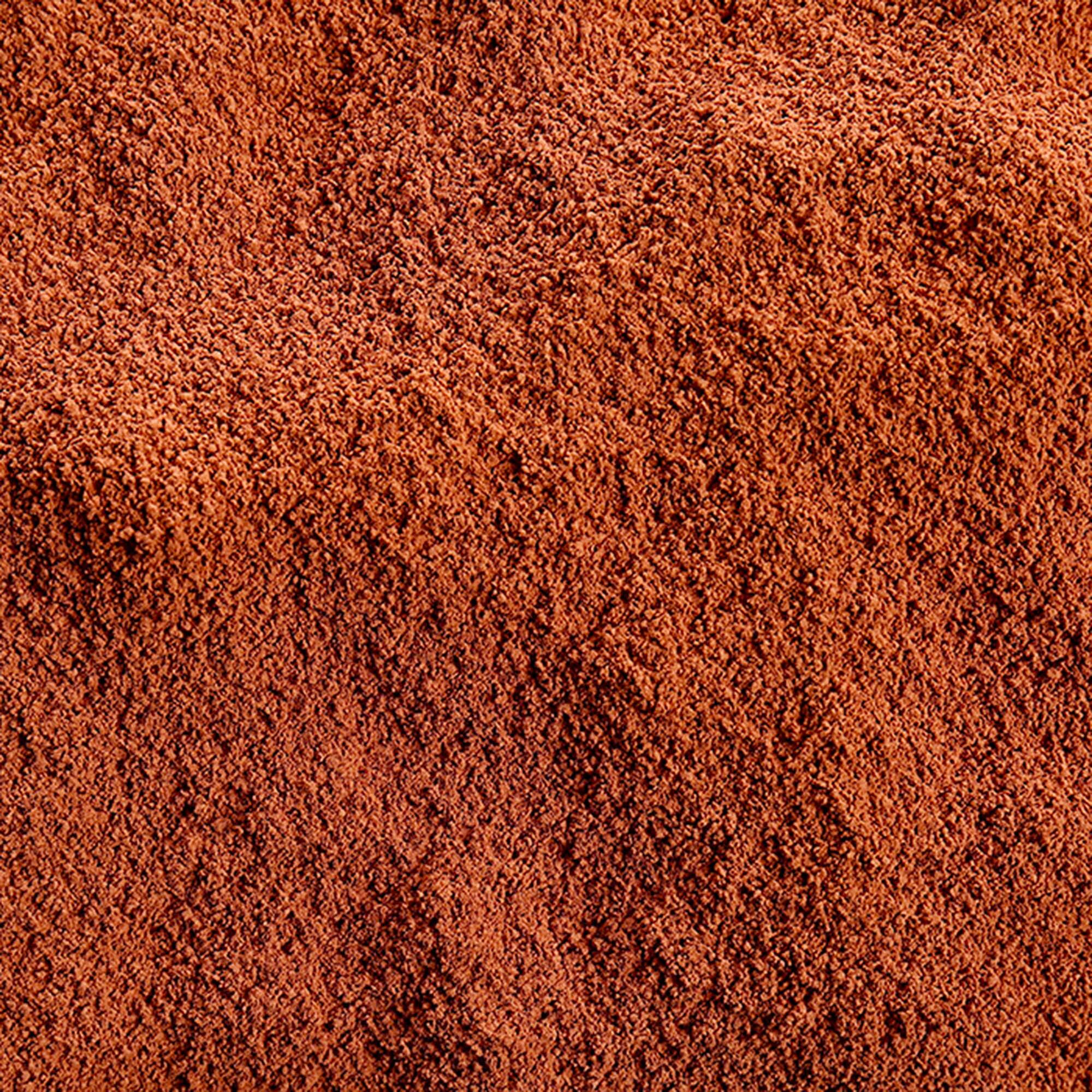 Cacao in polvere - cucina - 100% biologico - polvere amara - 100 g 2/4