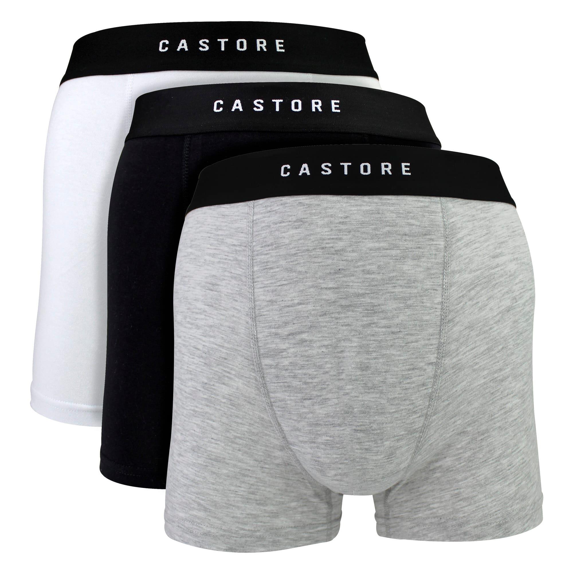 CASTORE picture