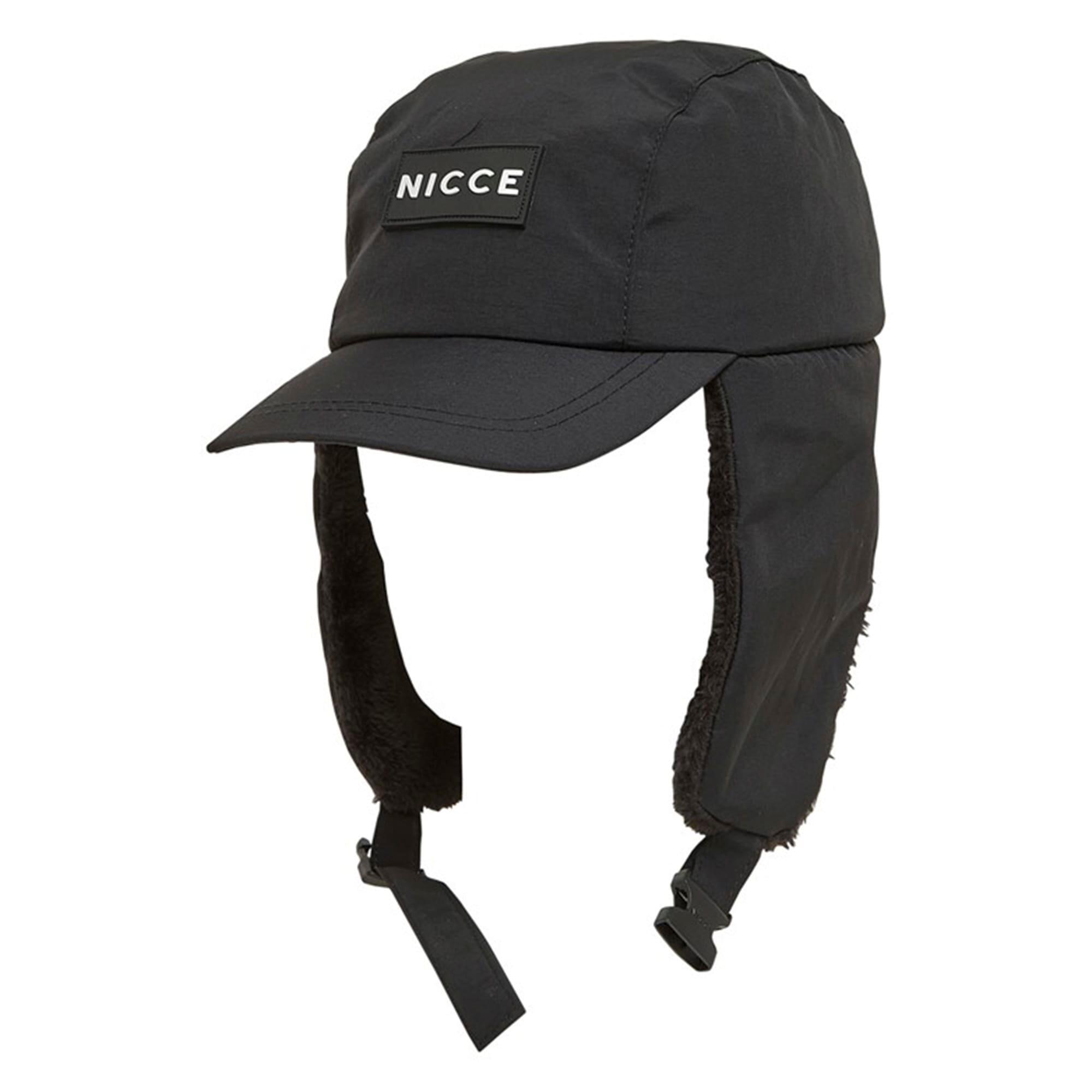 NICCE picture