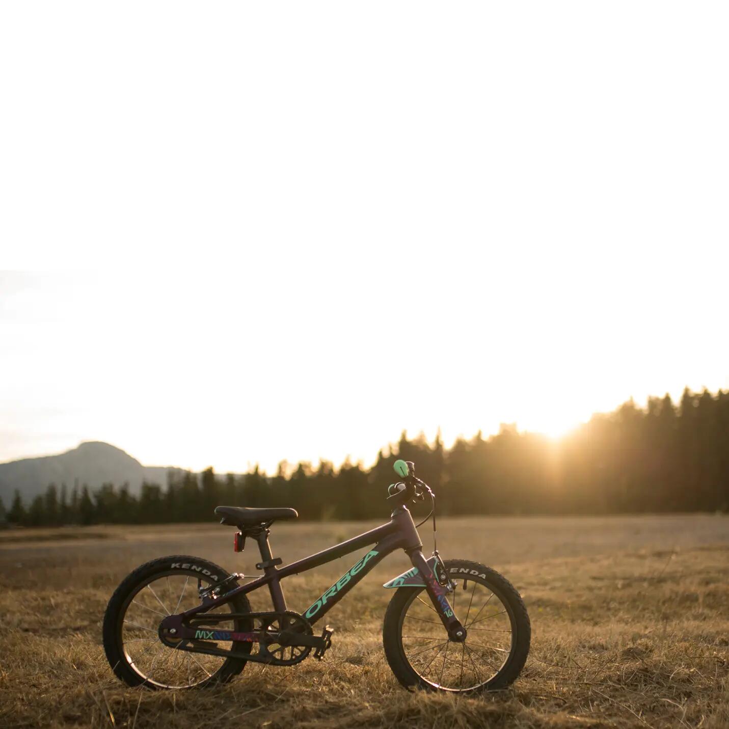 Bicicletă copii Orbea MX 20 DIRT - Purple (Matt) | Mint (Gloss) 3/5