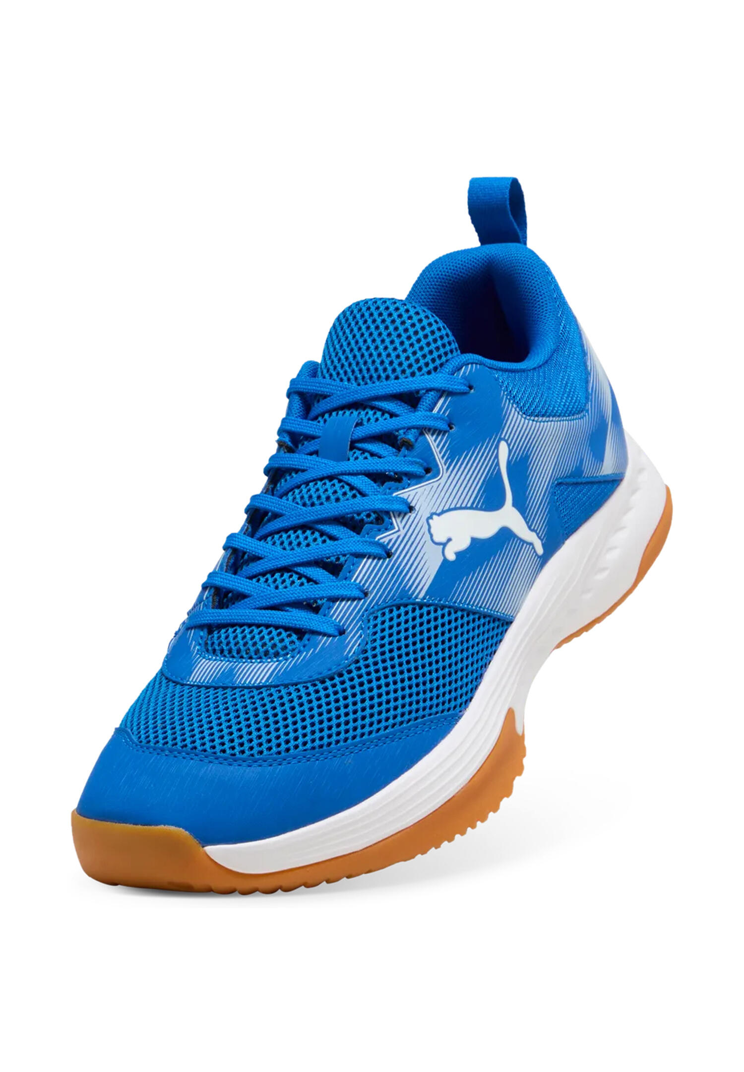 Puma VARION 3 Indoor Unisex Hallenschuhe Sneaker Schnürschuh 109096 03 Blau 3/15