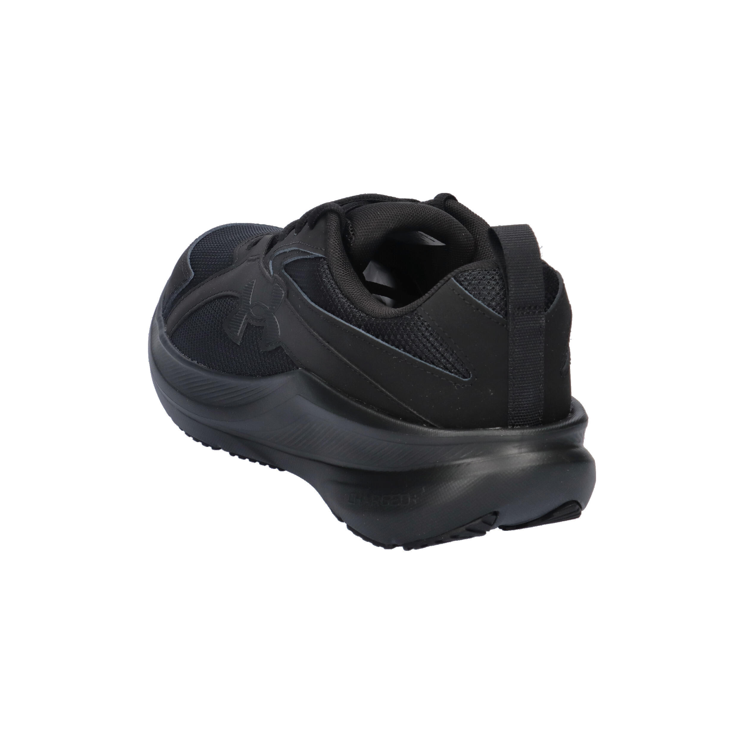 Chaussures de running Under Armour Assert 11 11/14
