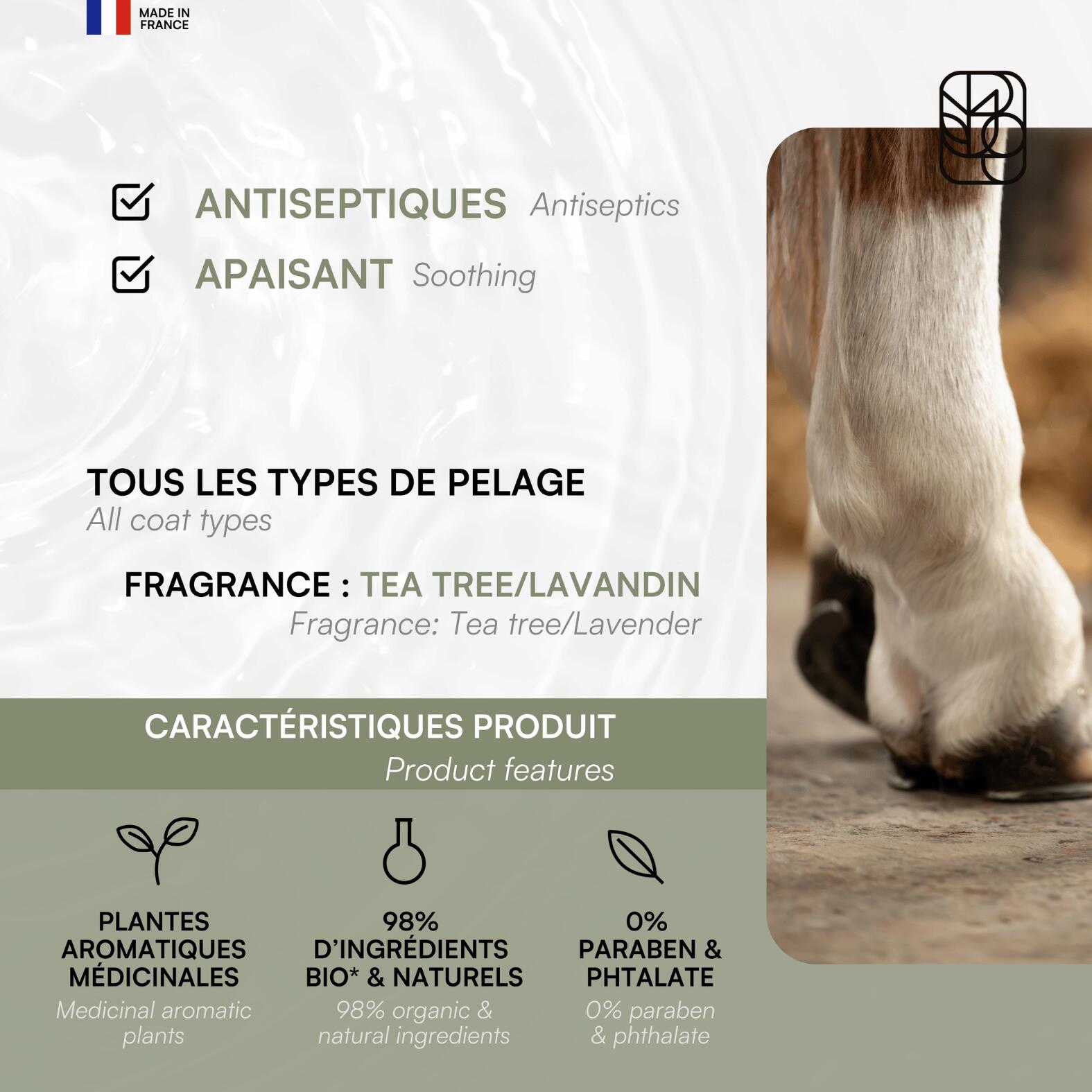 Soin gale de boue Ekinat 2/7