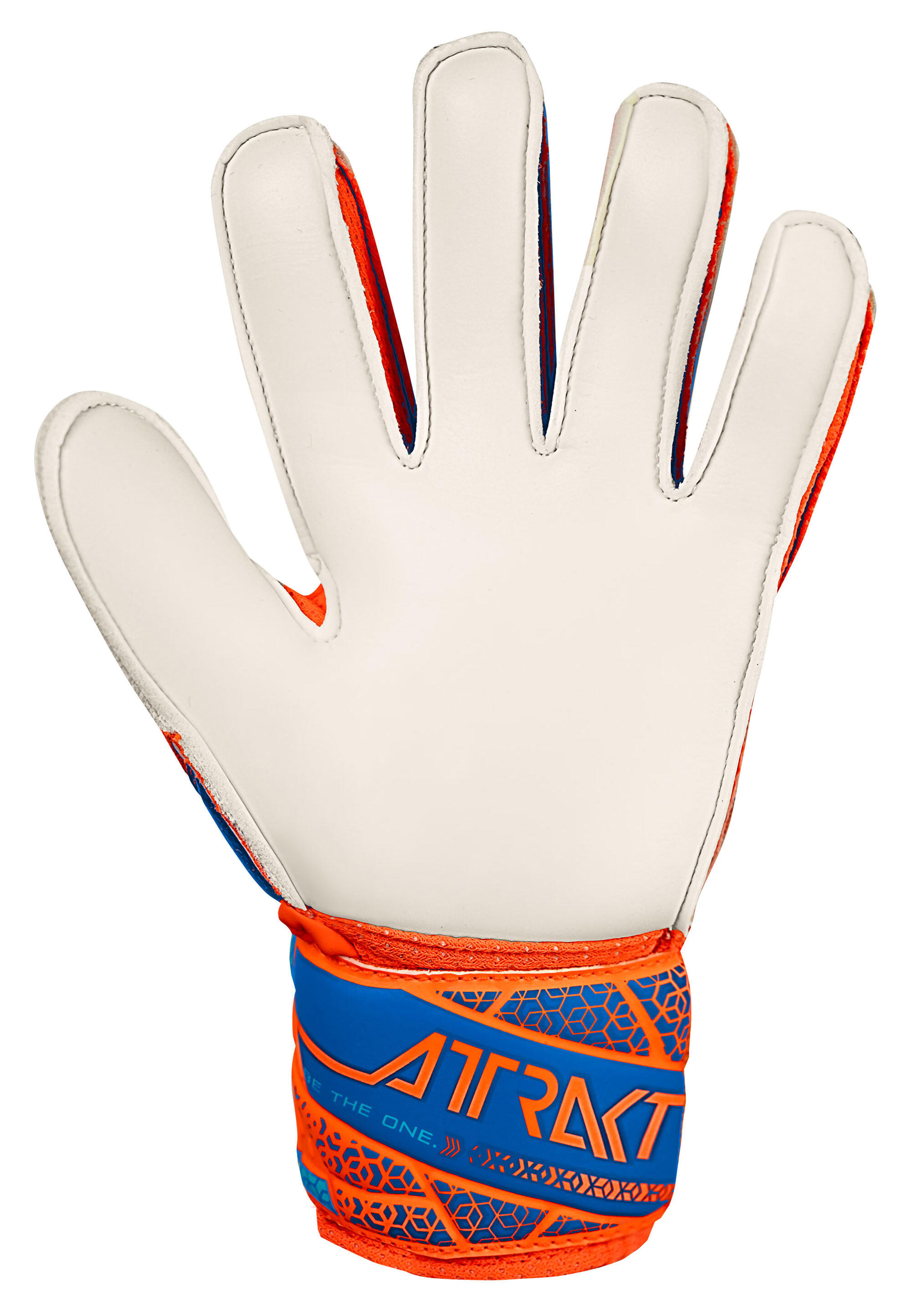Torwarthandschuhe Attrakt Solid Junior 6/15