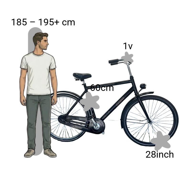 Bicicletta usata Giant Single 4U 2/4