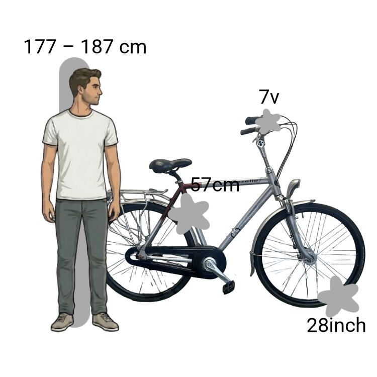 Bicicletta usata Gazelle Chamonix Plus 2/4
