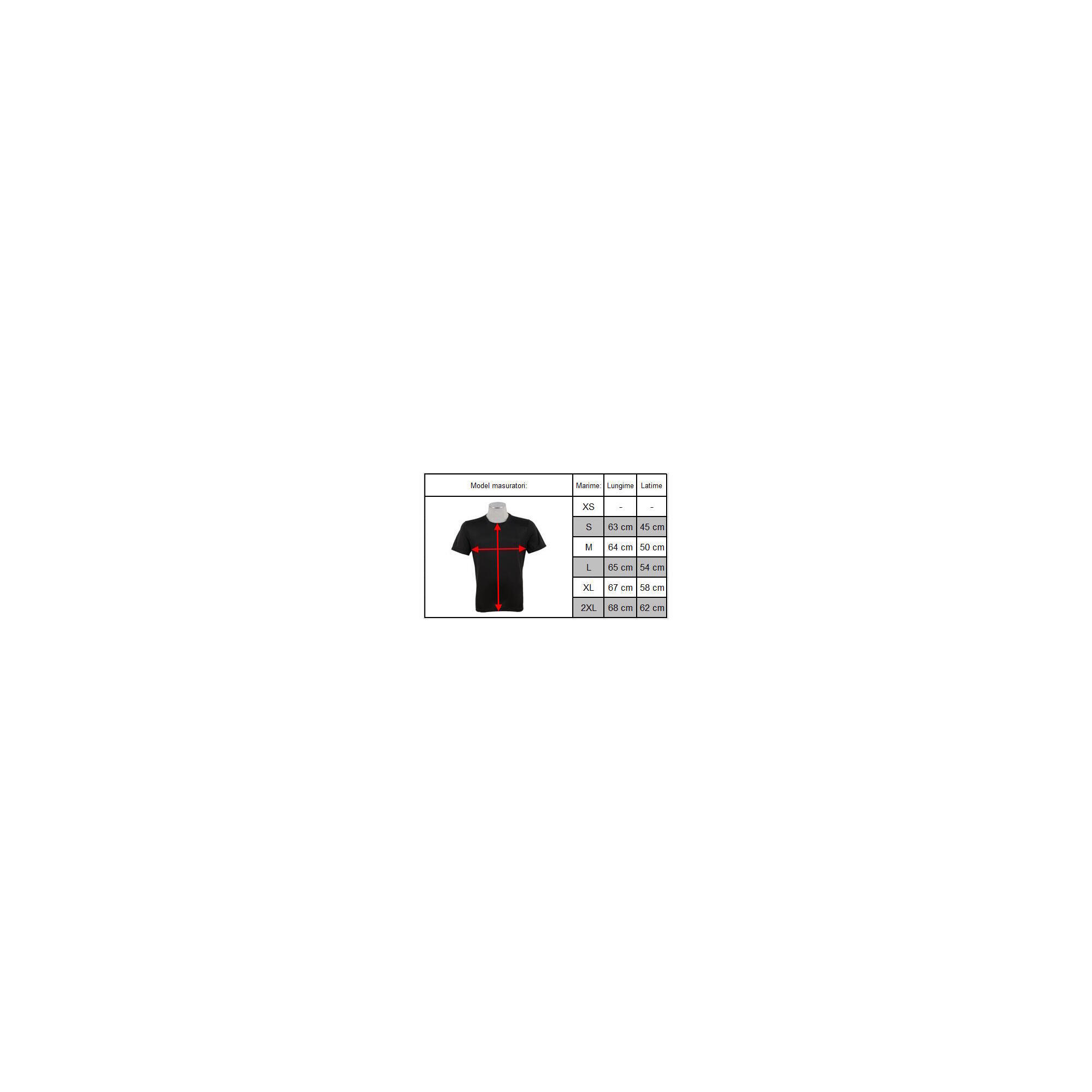 Tricou Nike Dry Park VIII pentru barbati, L