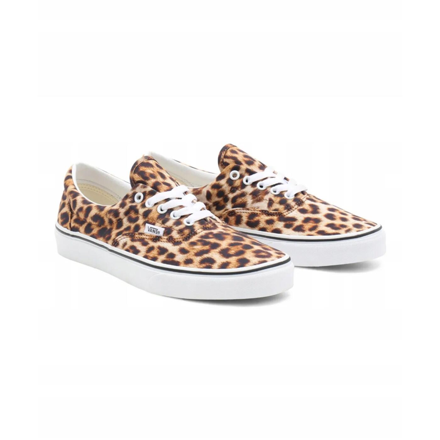 VANS picture