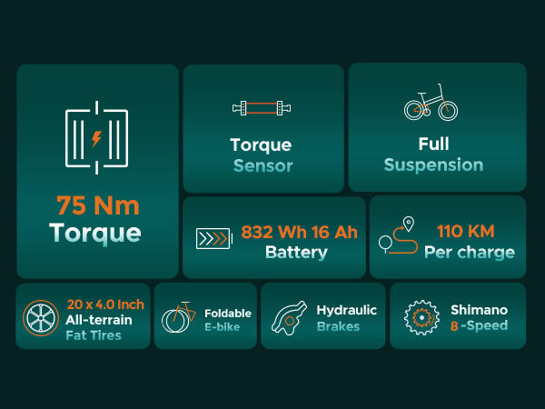 Bicicletta elettrica per adulti ENGWE ENGINE PRO 2.0 Batteria 52V16AH 4/15