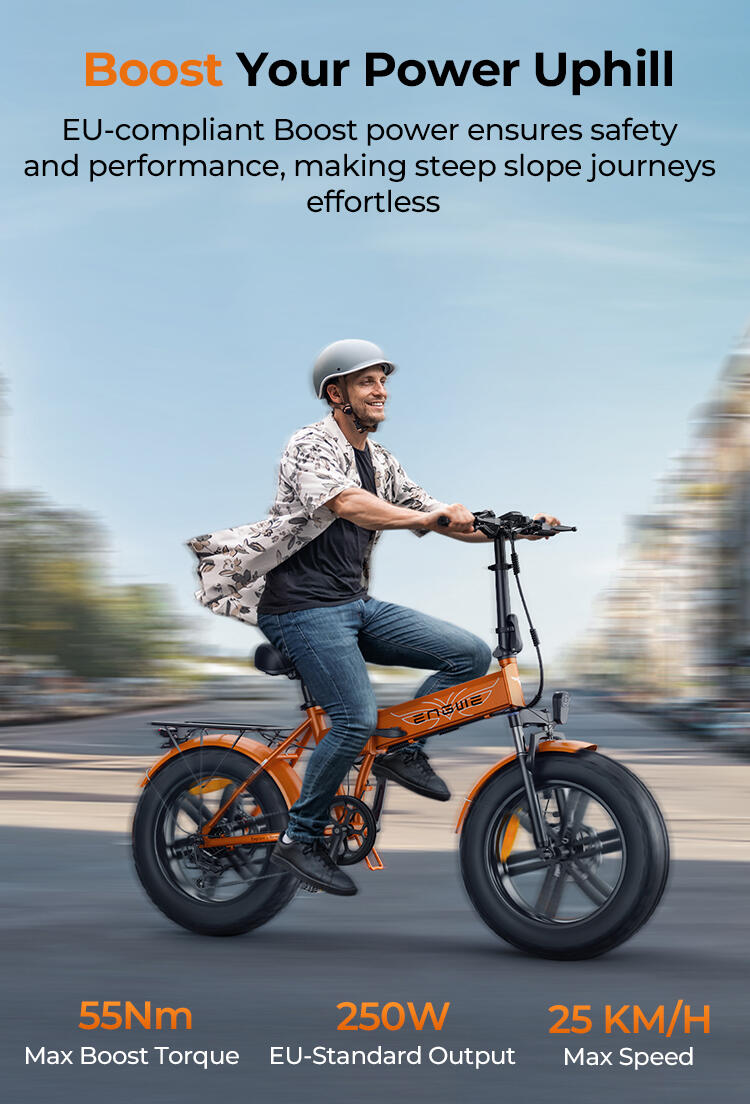 Vélo électrique pour adultes ENGWE EP-2 BOOST Batterie 48V13AH vélo électrique 5/12