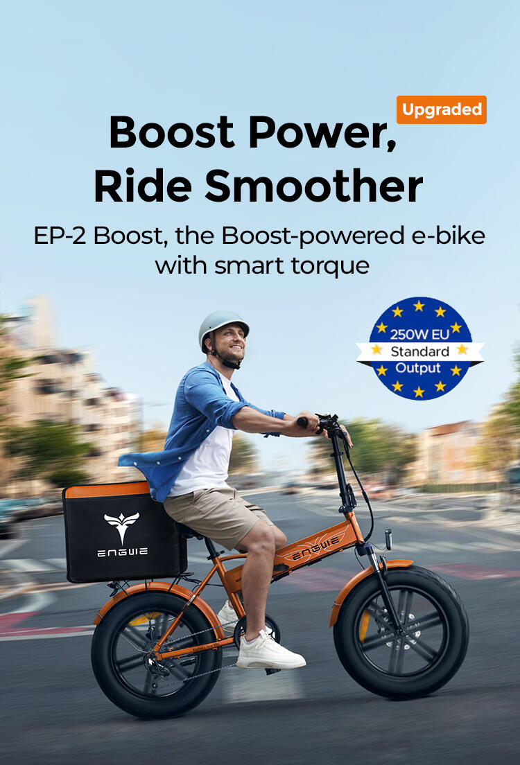 Vélo électrique pour adultes ENGWE EP-2 BOOST Batterie 48V13AH vélo électrique 3/12