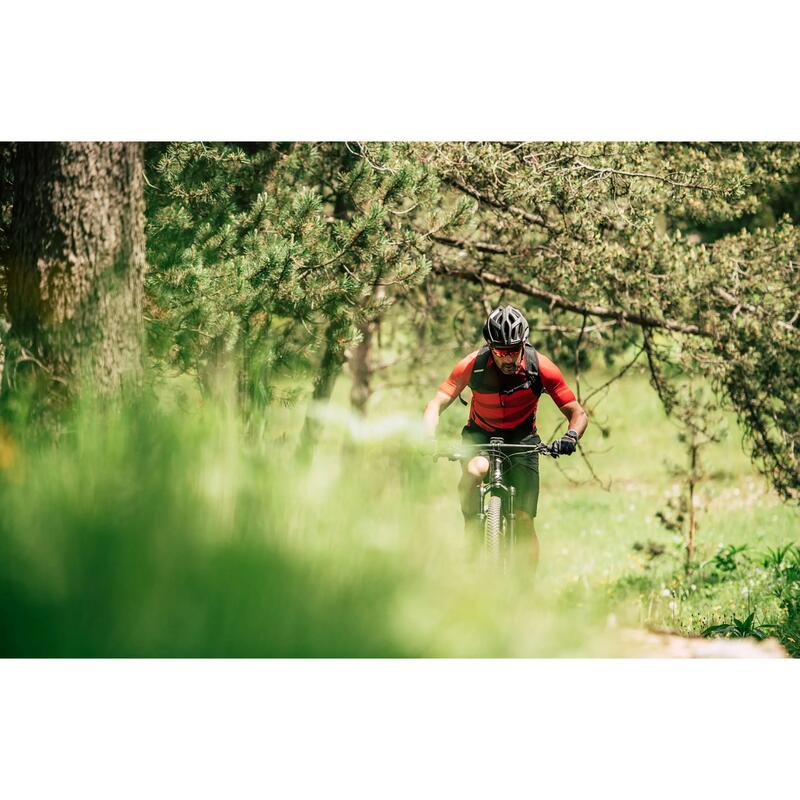 Big.Nine 700 - bicicleta MTB hardtail XC 29" - verde Ever Green