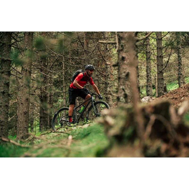 Big.Nine 700 - bicicleta MTB hardtail XC 29" - verde Ever Green