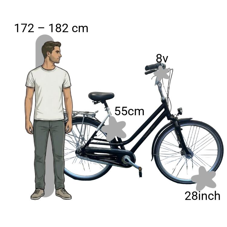 Bicicletta usata Sparta 2/4