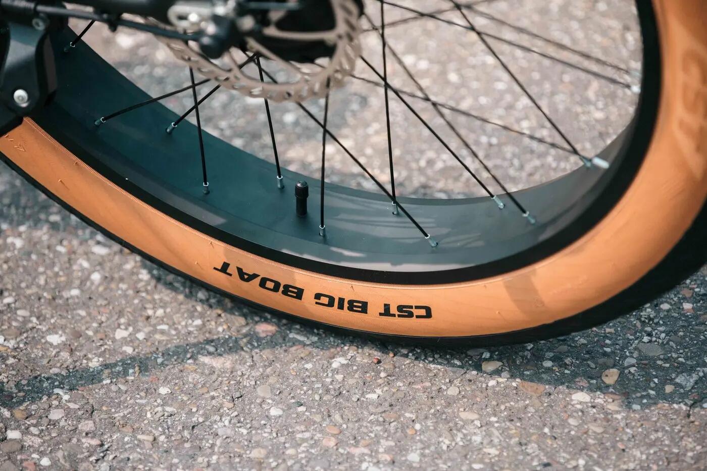 Fatbike elettrica - Q26 - 26 pollici Nero 8/8
