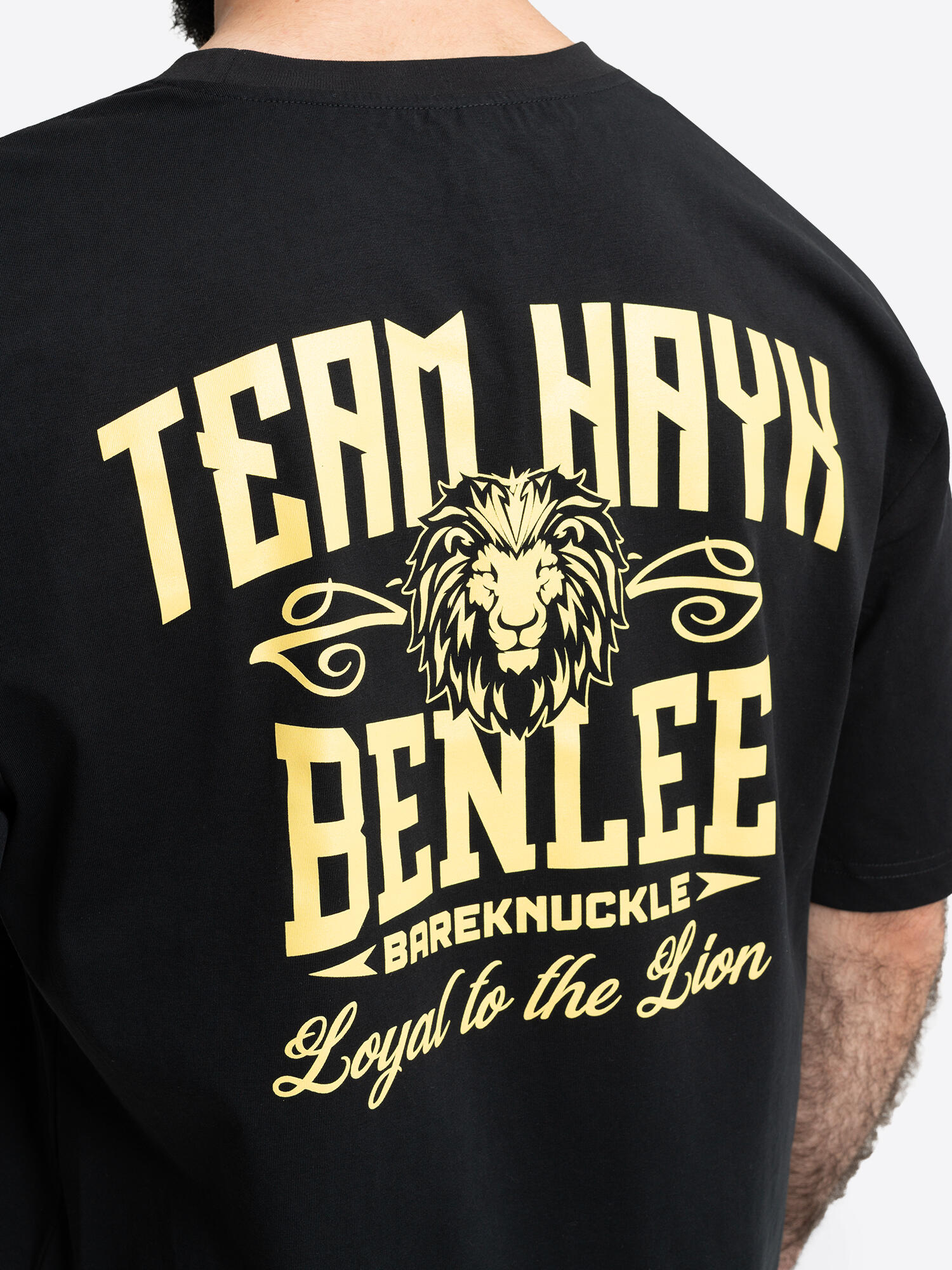 BENLEE Herren T-Shirt lockere Passform HAYK CHARITY TEE 7/7