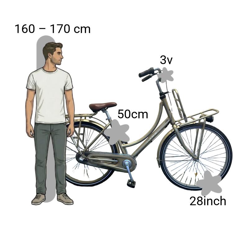 Bicicleta usada Batavus Diva 2/4