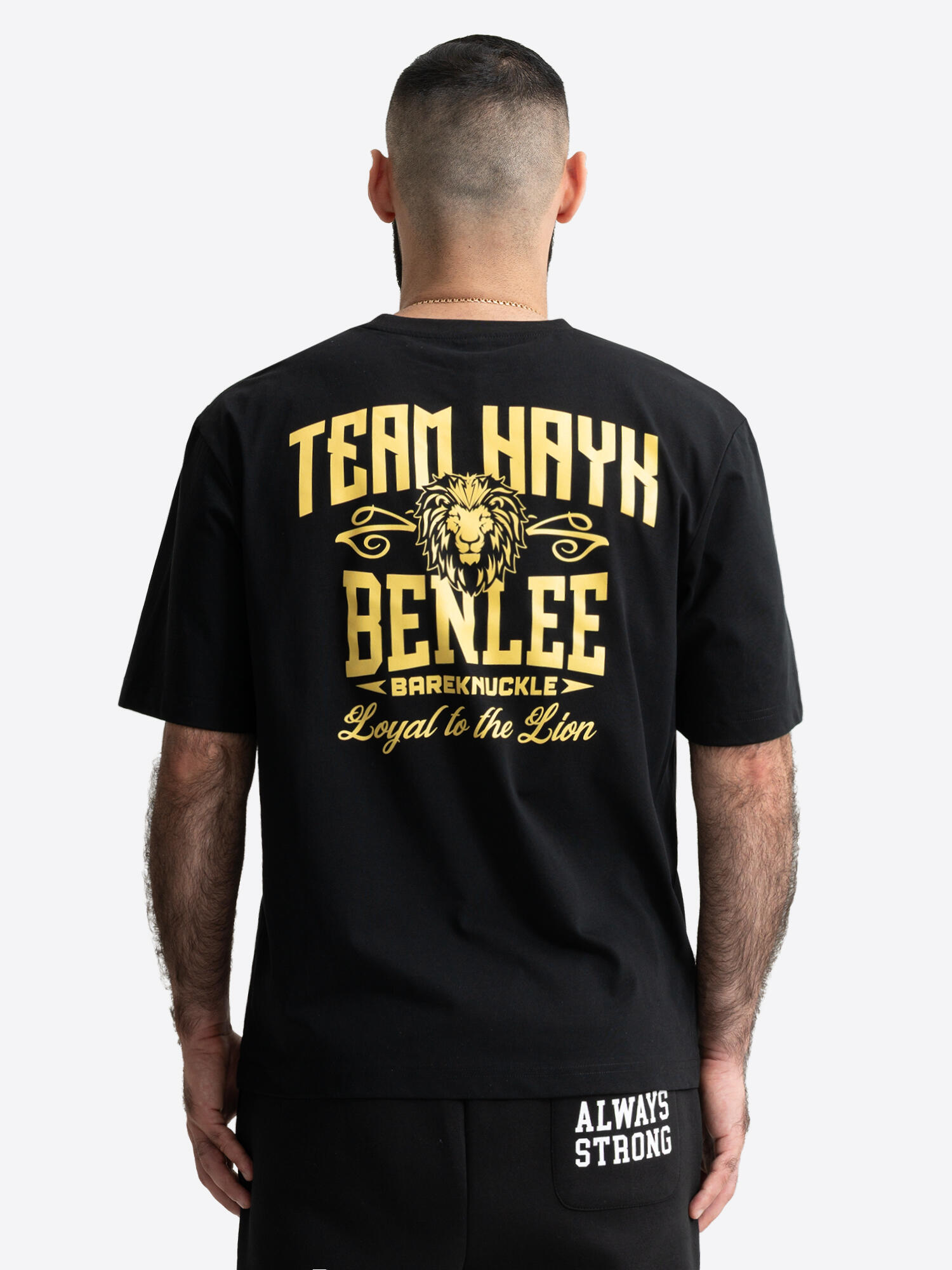 BENLEE Herren T-Shirt lockere Passform HAYK CHARITY TEE 1/7