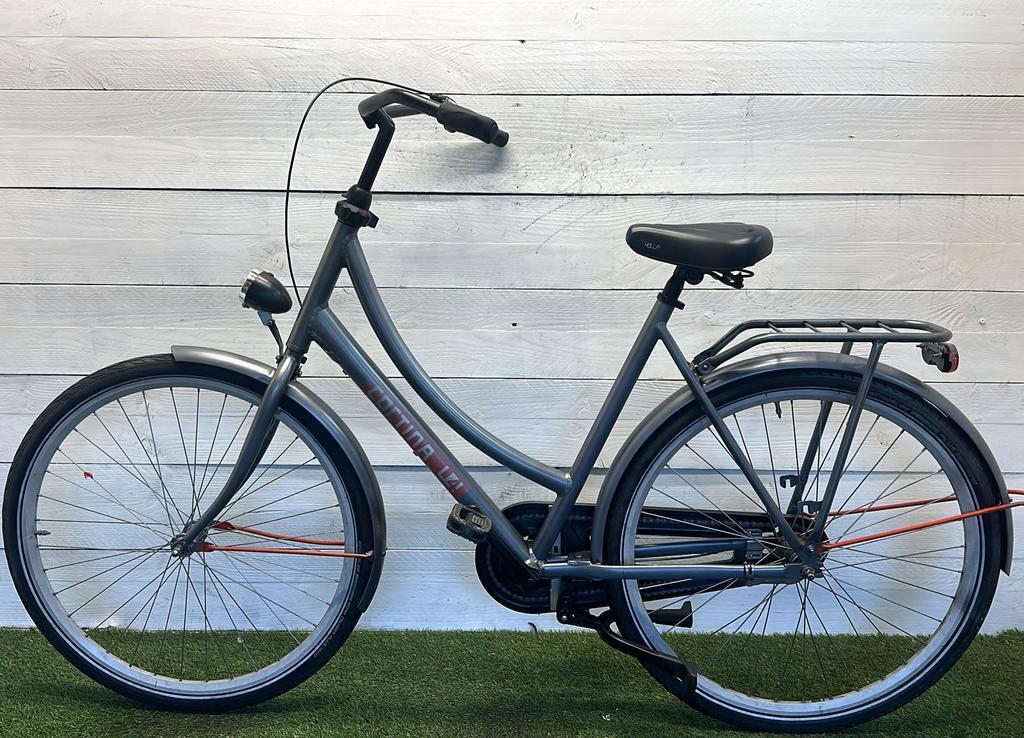 Cortina moederfiets stadsfiets bike, metal/grijs 3/3