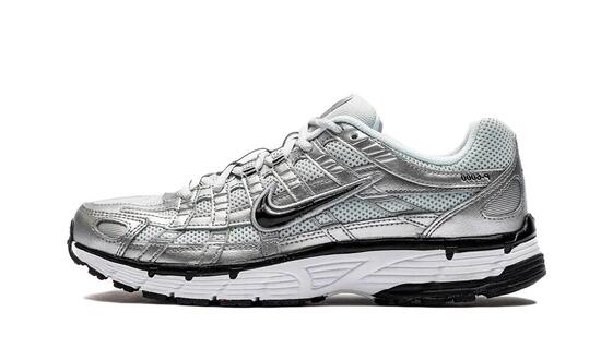 P-6000 Platinum Silver