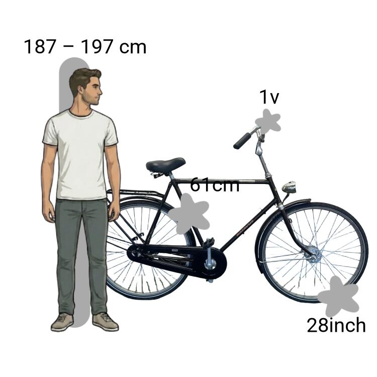 Bicicletta usata Batavus 2/4