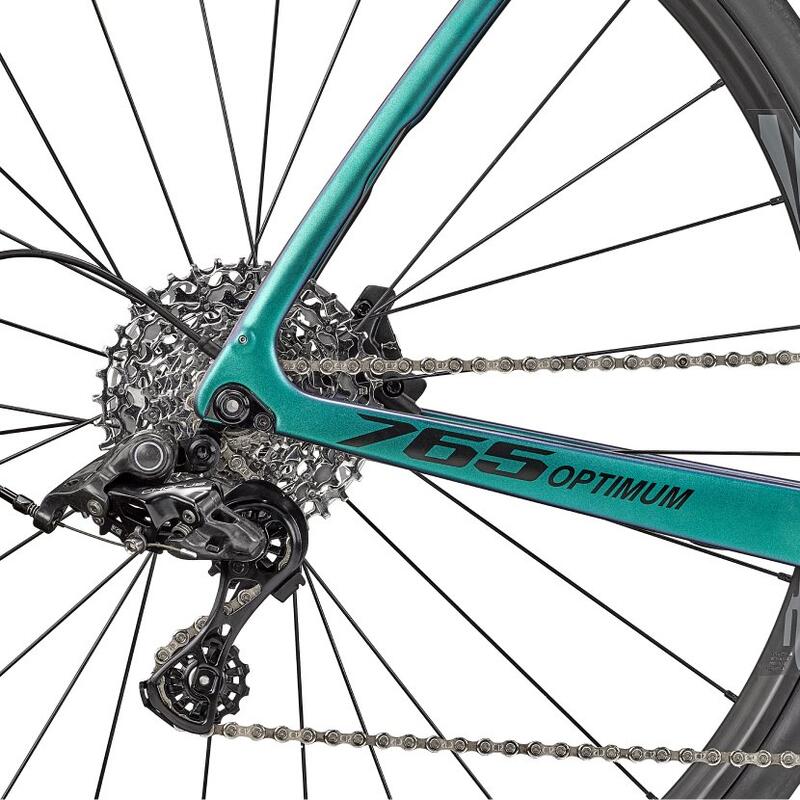 Bicicleta sosea de anduranta - Optimum 2 Disc - Campagnolo Chorus - Verde Albas…